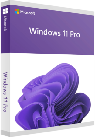 Windows 11 Pro 64 Bit