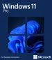 Preview: Windows 11 Pro Artshop