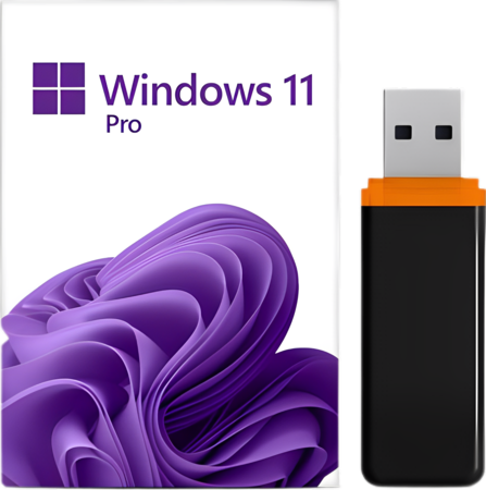 Microsoft Windows 11 Pro USB Stick Bootstick