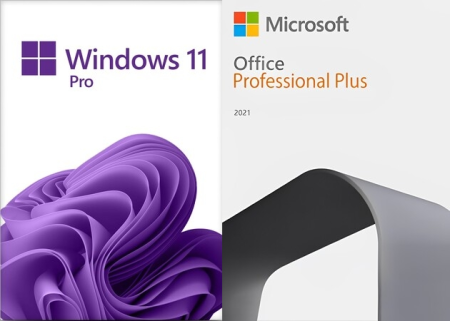Windows 11 Pro + Office 2021 Pro Plus Angebot