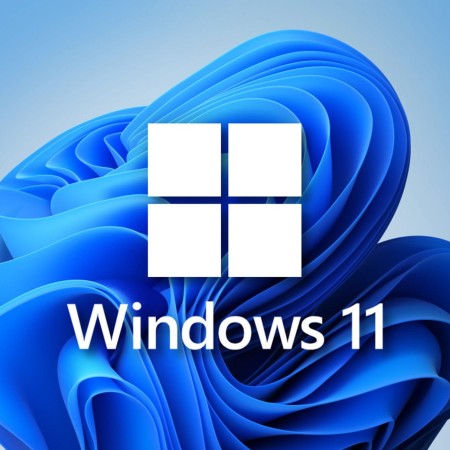 Windows 11 Pro Home günstig kaufen