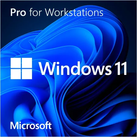 Windows 11 Pro for Workstations Lizenz Key