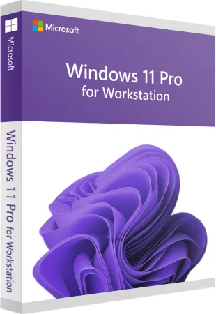 Windows 11 Pro Workstations