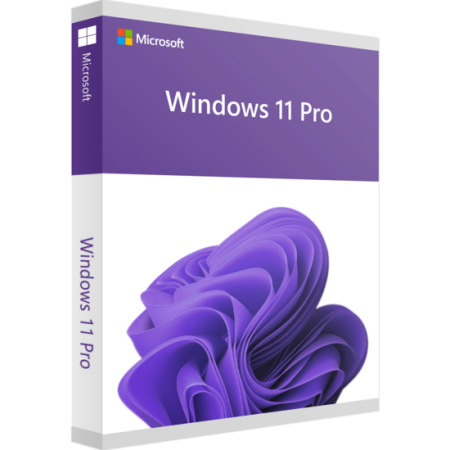 Windows 11 Pro (Professional) 64 Bit