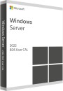 Windows Server 2022 Remote Desktop Services User CAL Lizenz-Key